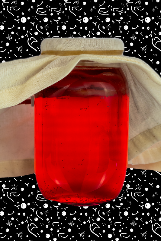 Kombucha Hagebutte