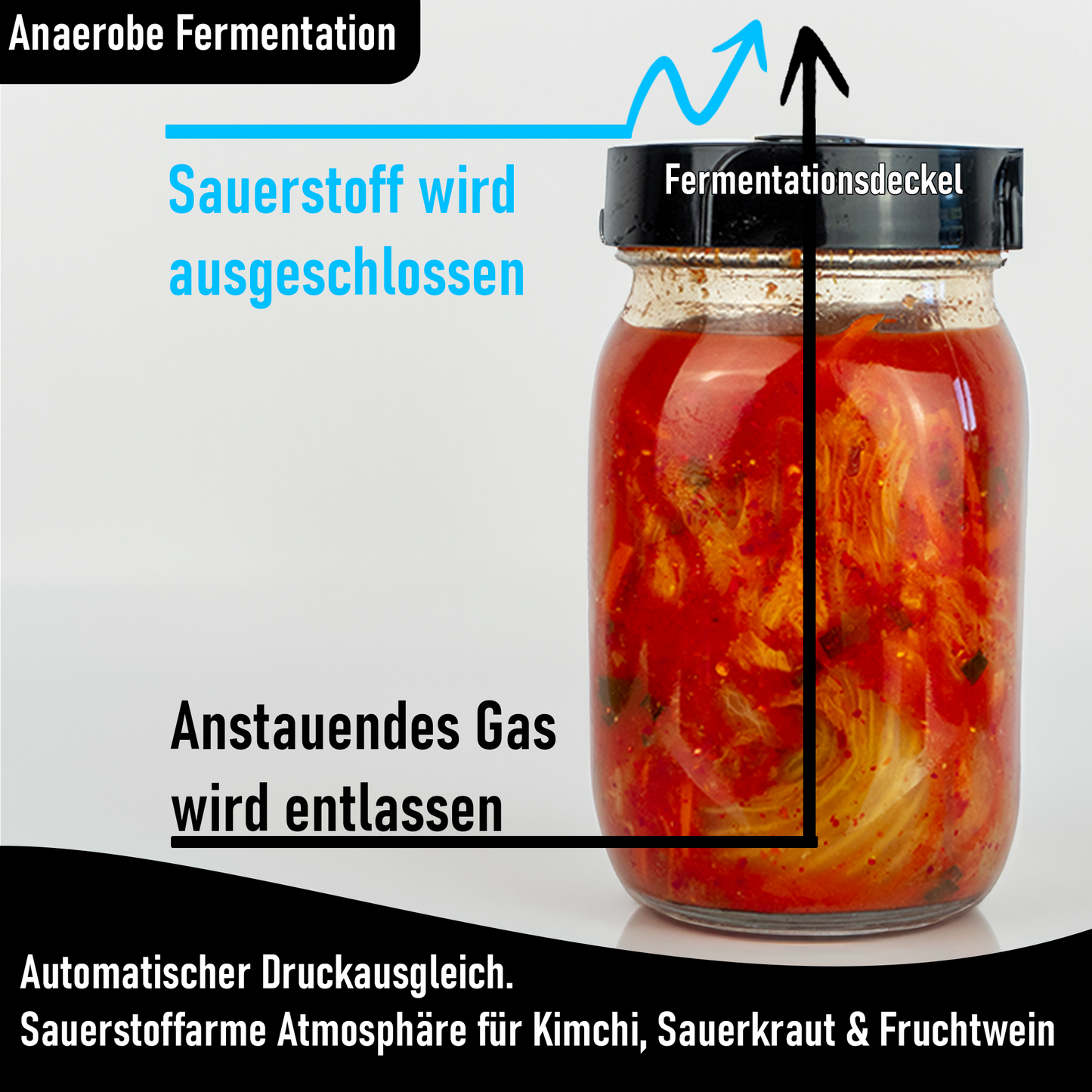 Blubberglas Fermentationskit