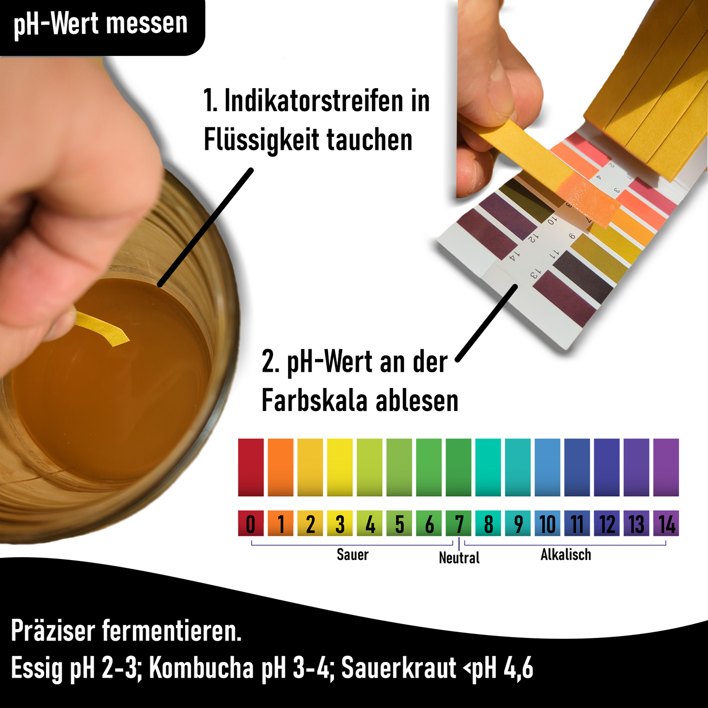 Blubberglas Fermentationskit