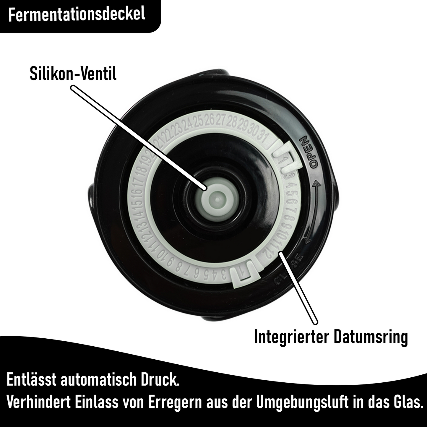 Blubberglas Basic Kit Fermentation