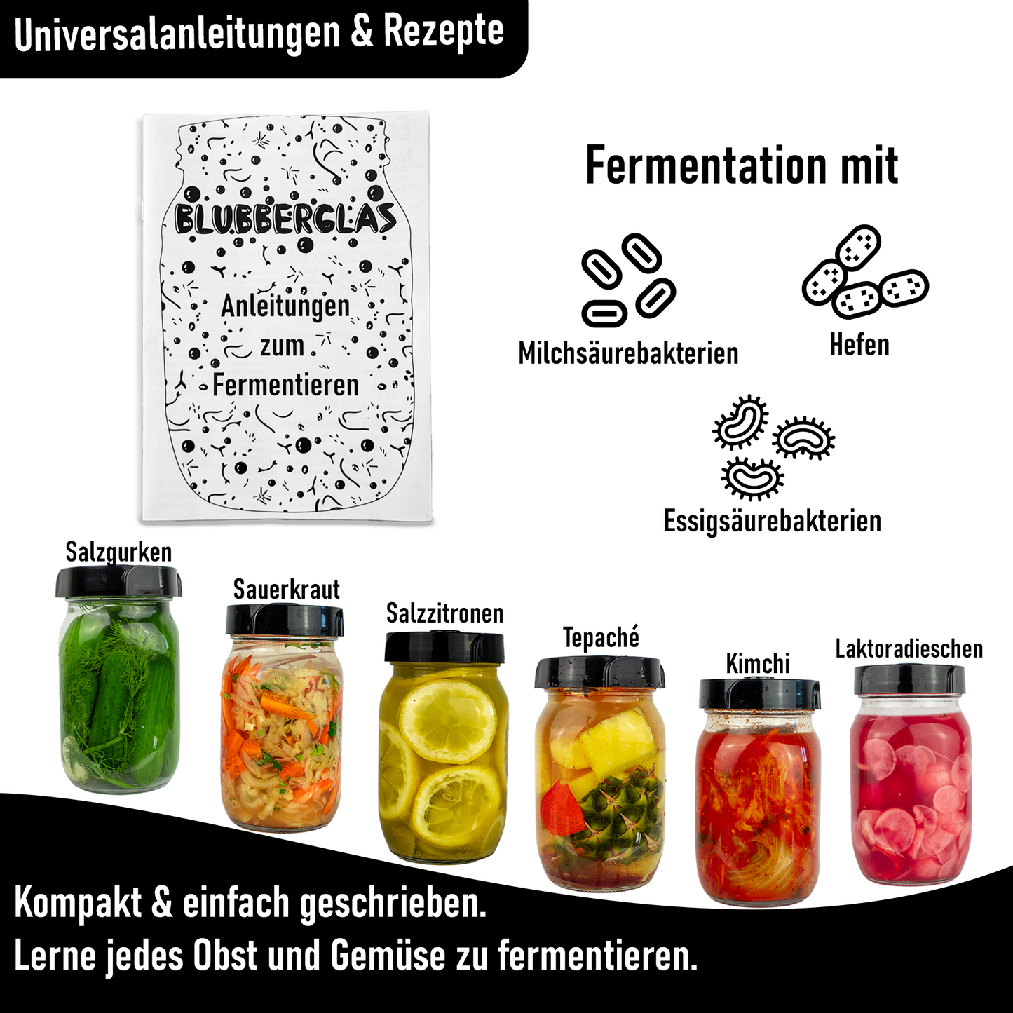 Blubberglas Fermentationskit