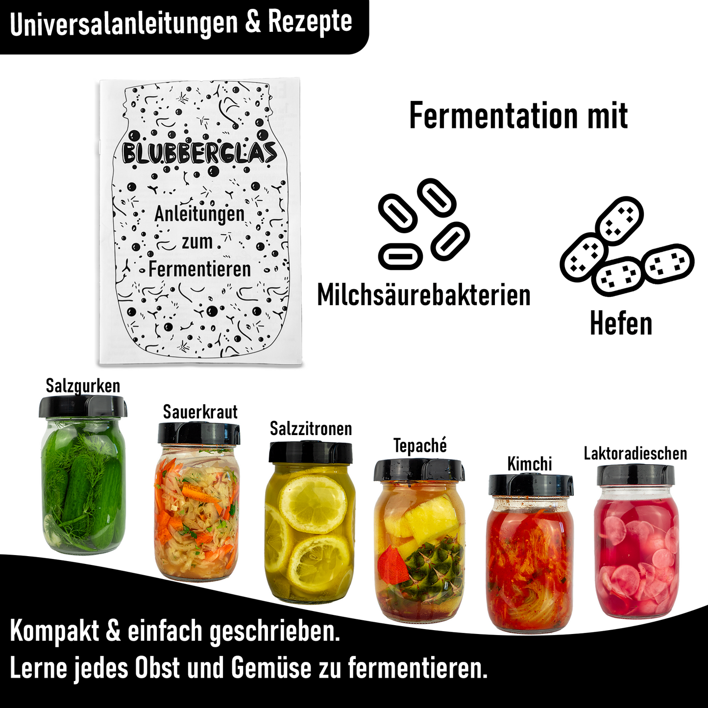 Blubberglas Basic Kit Fermentation